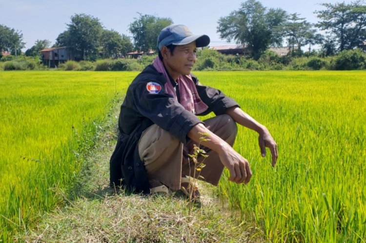 'Tidak cukup air': Petani Kamboja menghadapi perubahan iklim